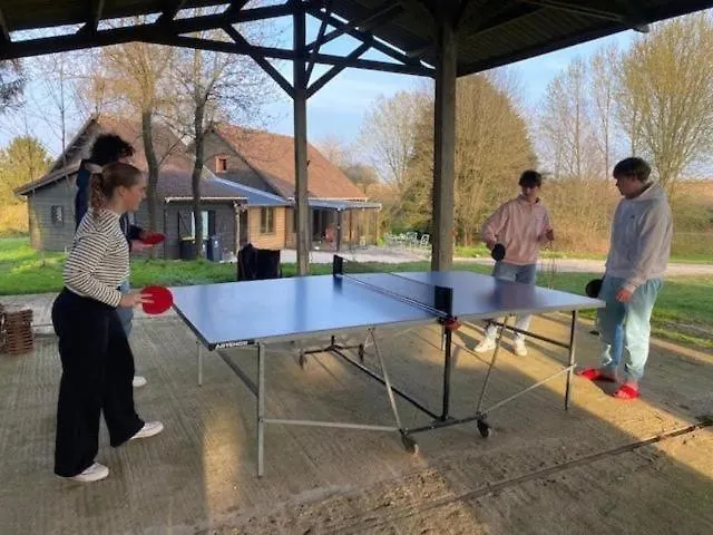 Domek alpejski Les Galets 1&2 *